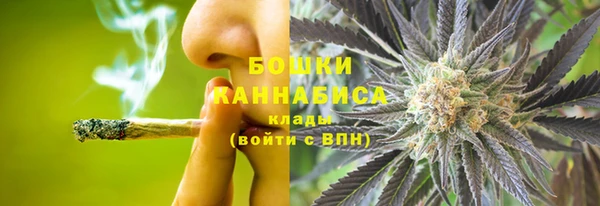 дживик Богородск
