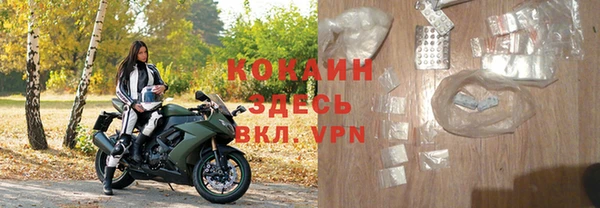 дживик Богородск