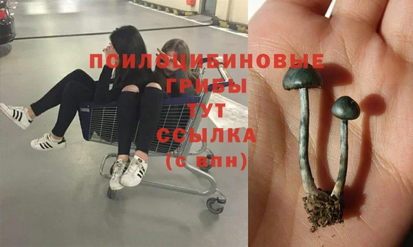 дживик Богородск
