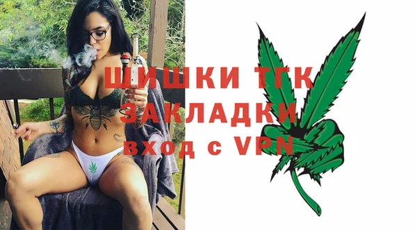 дживик Богородск