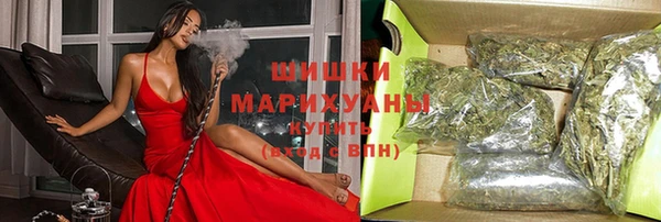 стаф Бронницы