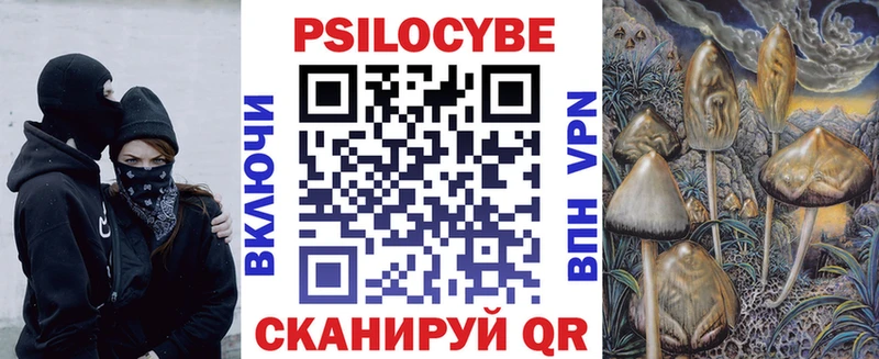 блэк спрут   Каменка  Галлюциногенные грибы GOLDEN TEACHER 